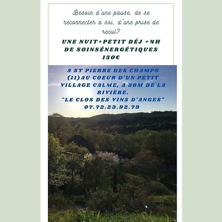 Saint-Pierre-des-Champs Chambre D'Hote Au Jardin Le Clos Des Vins D'Anges מראה חיצוני תמונה