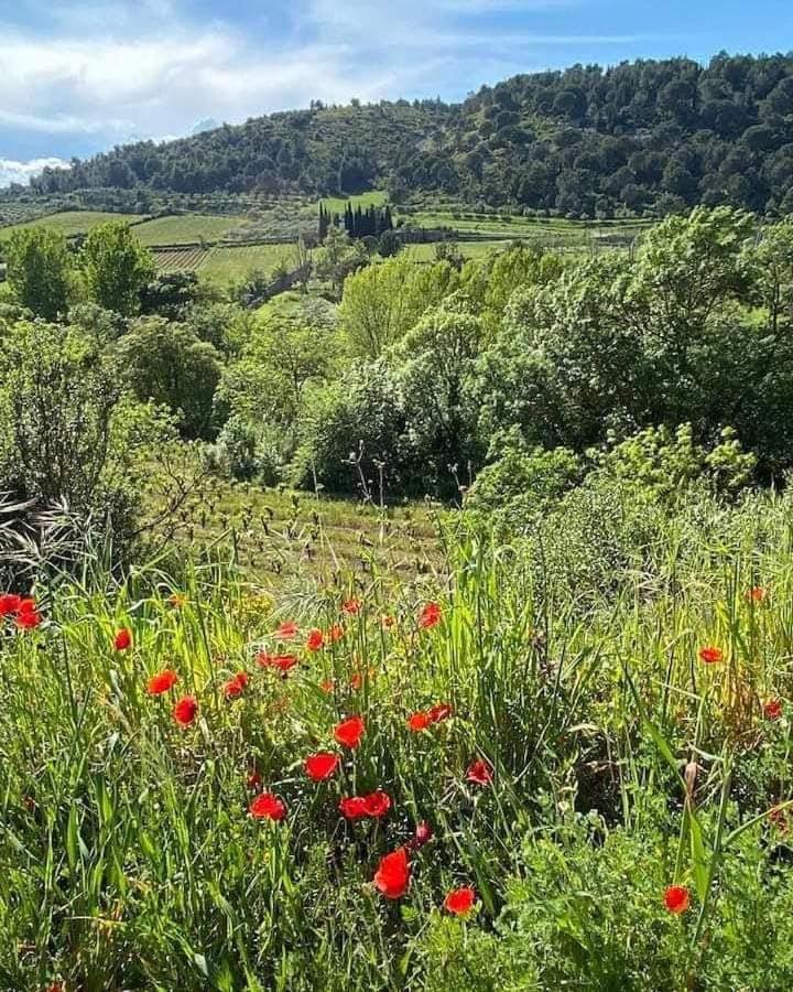 Saint-Pierre-des-Champs Chambre D'Hote Au Jardin Le Clos Des Vins D'Anges מראה חיצוני תמונה