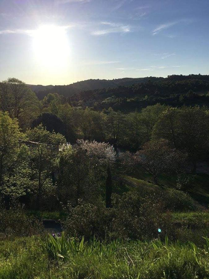Saint-Pierre-des-Champs Chambre D'Hote Au Jardin Le Clos Des Vins D'Anges מראה חיצוני תמונה
